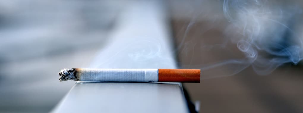 Mr Smoker 2