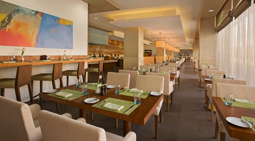 Bistro55 2