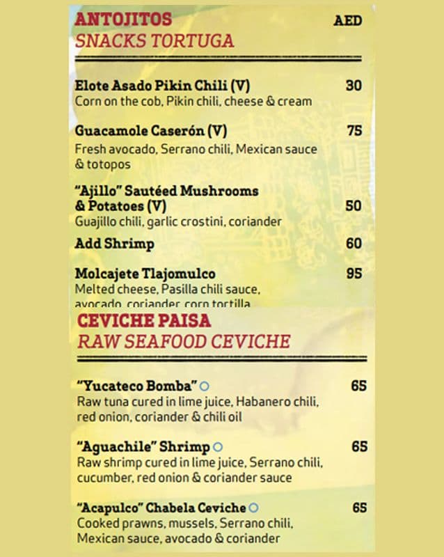 Tortuga 10