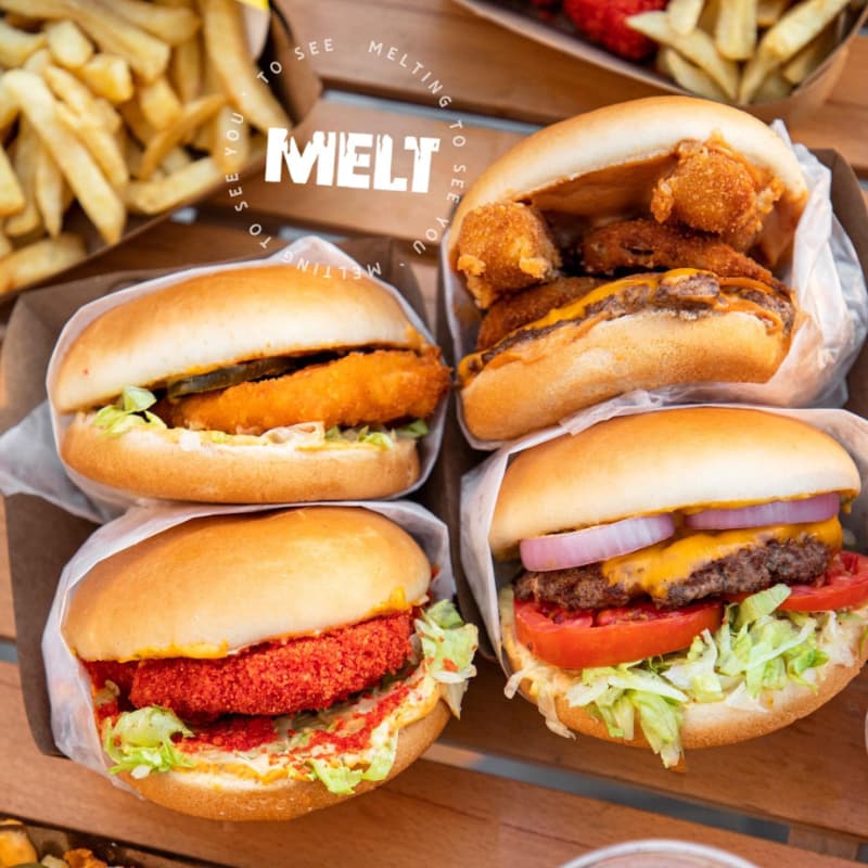 MELT 3