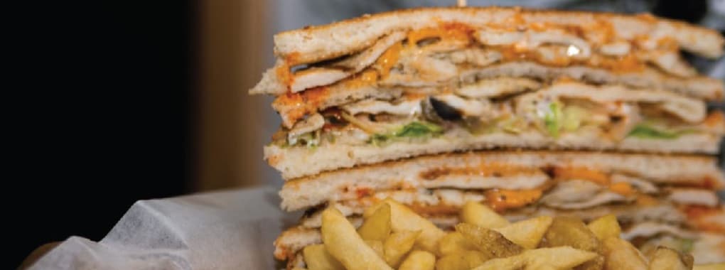 Paninos 2
