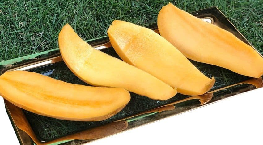 Fruitofy 2