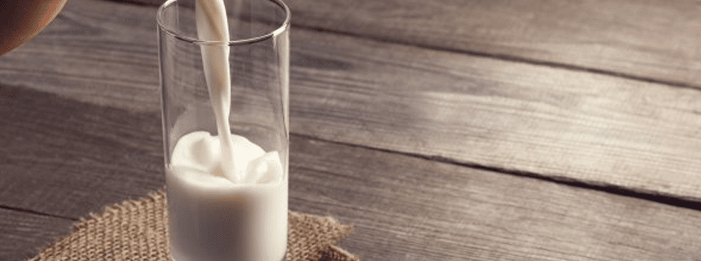 Nagori Dairy 2