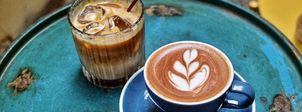 Cafe-313 2