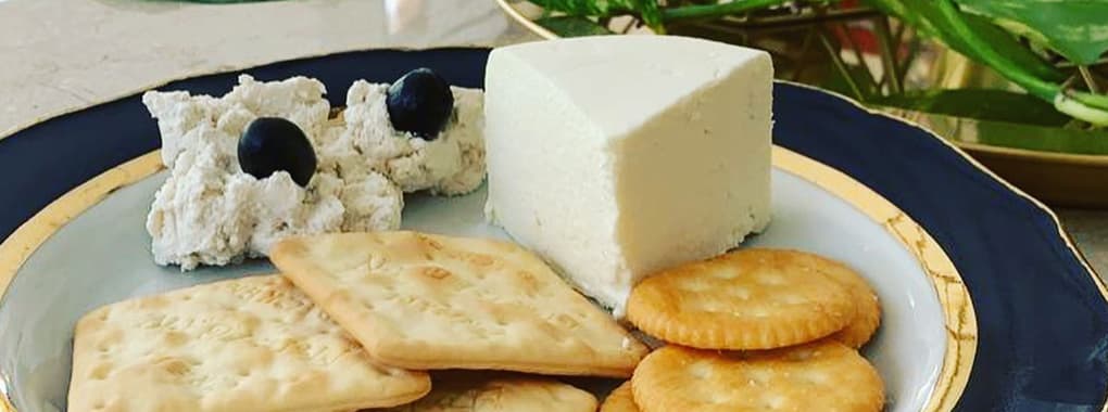 Yayycheese 2