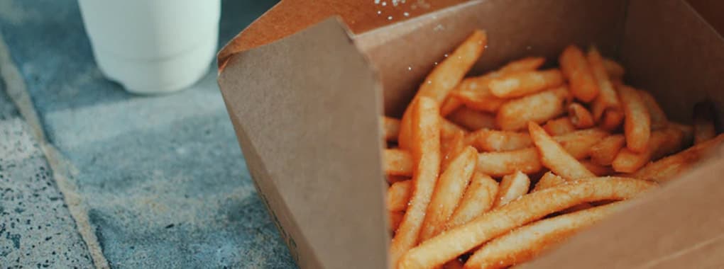 Frylogy 2
