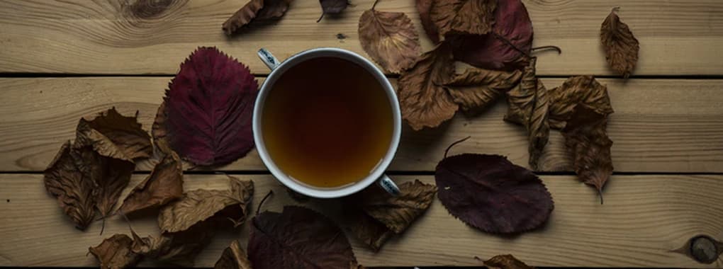 Matka Chai 2