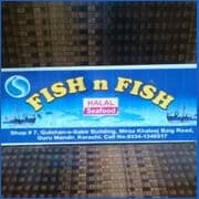 Fish N Fish