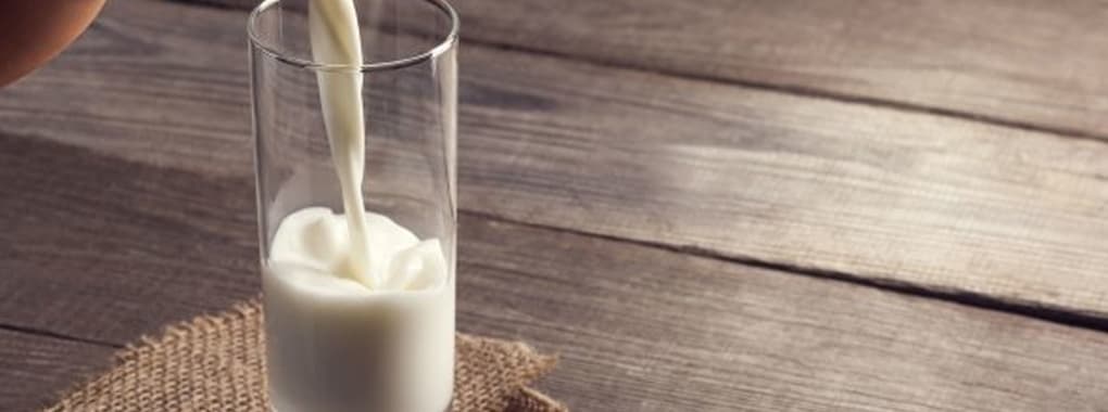 Milk And Yogurt