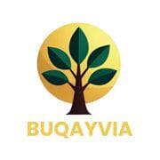 25% off