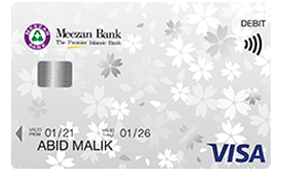 Classic Visa Debit Card