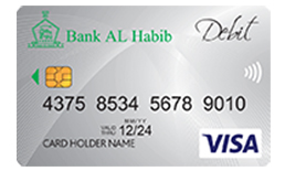 Visa Silver Debit Card
