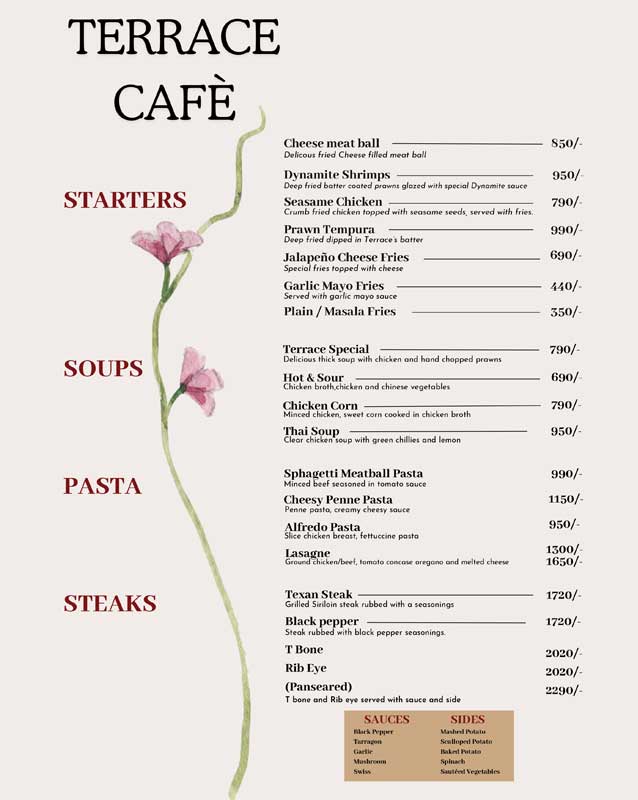 Terrace Cafe - Lahore menu