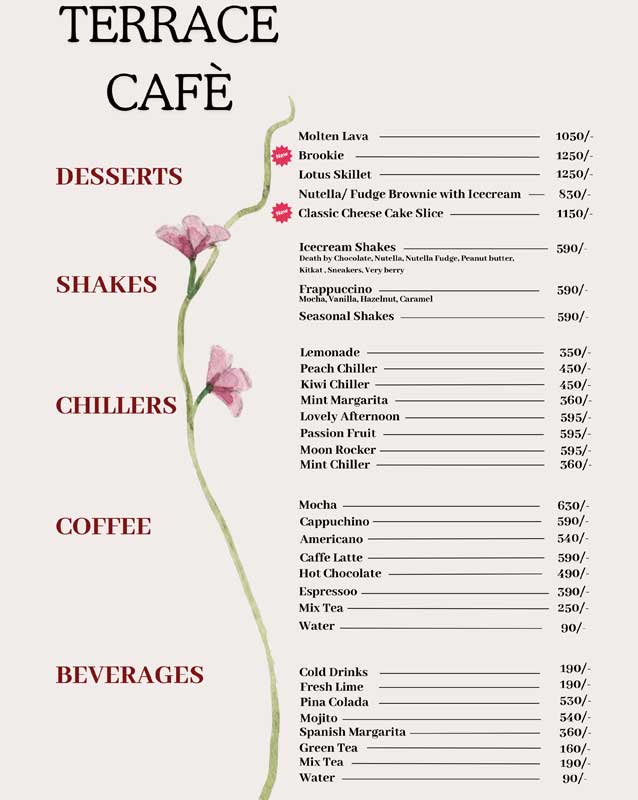 Terrace Cafe - Lahore menu