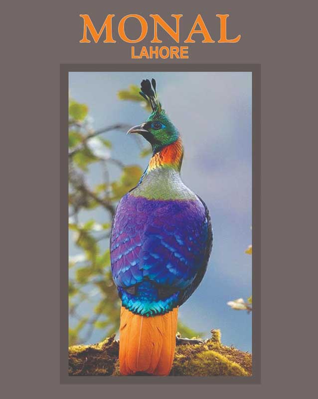 The Monal menu