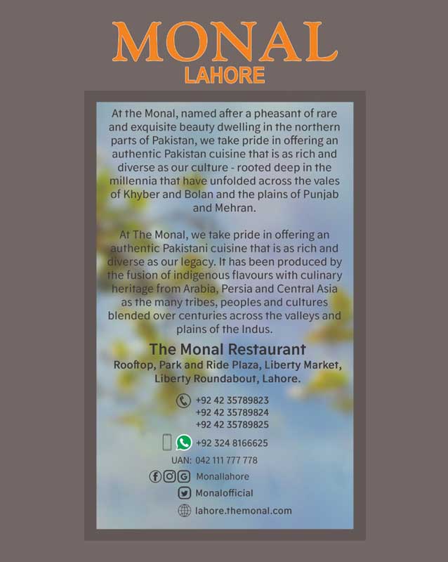 The Monal menu
