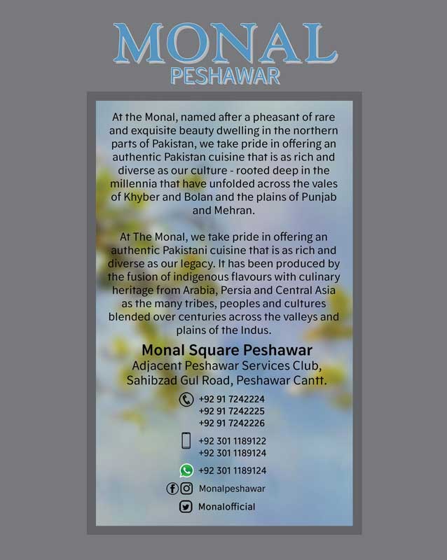 The Monal menu
