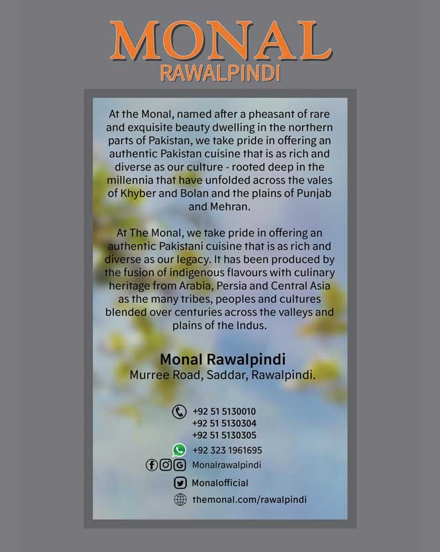 The Monal menu